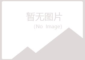 淄博淄川女孩媒体有限公司